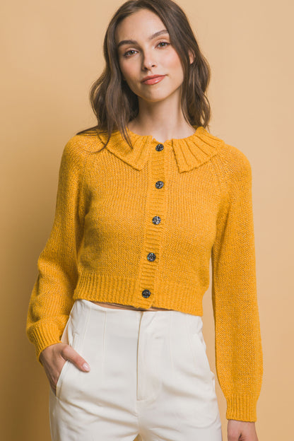 Cozy Short Collared Cardigan